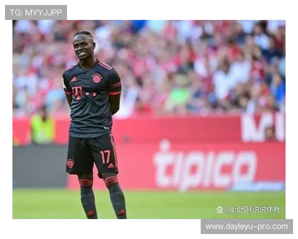 哈兰德与传控体系适配性分析